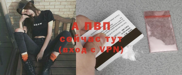твердый Волоколамск